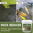 Muck Reducer - 5LB Natural Sludge Solution Tablets for Ponds & Lakes, Away Muck & Odor Control, Safe for Aquatic Life, Wildlife & Recreation, Treats Up to 30,000 Sq Ft by GreenHaven Gardens