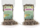 Premium Natural Spanish Moss | Natural Preserved - 10 Quart - Great Ground Cover - Filler for Potted Plants (2 Bags of 5 Quart) by GreenHaven Gardens