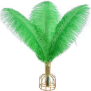 THARAHT Green Ostrich Feathers 12pcs Large Natural Bulk 12-14Inch 30cm-35cm for Wedding Party Centerpieces Mardi Gras and Home Decoration Feathers by CozyNest Decor