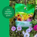 Earth Science Perennial Wildflower Mix - 3-in-1 Formula with Premium Wildflower Seeds—6 lb— Plant Food and Soil Conditioners - Non-GMO, Natural Ingredients by GreenHaven Gardens
