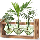Lifecapido Heart Shaped Propagation Stations, Plant Terrarium with Wooden Stand, Plant Propagation Station for Hydroponics Office Garden Home Decor, Gifts for Women Plant Lover (3 Vases, Mint Green) by GreenHaven Gardens