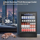 Tylza Beverage Refrigerator 24 Inch, Under Counter/Freestanding Drink Fridge, 190 Cans Beverage Cooler with Glass Door, Reversible Door, Low Noise, Quick Cooling - for Beer, Soda, ETC, Black by CozyNest Decor
