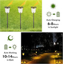 Solar Pathway Lights Super Bright 200 lumens with 2-in-1 Warm White and Daylight Modes, Solar Lights Outdoor Waterproof for Yard, Path, Sidewalk, Driveway or Walk Way Light(2 Pack) by GreenHaven Gardens
