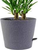 Self Watering Pots for Indoor Plants,12 inch Planters with Drainage Holes Plastic Flower Pots with Deep Reservoir, Grey Speckles by CozyNest Decor