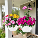 2 Pack Hanging Planters for Indoor Outdoor Plants, 8 Inch Self Watering Hanging Pot with Drainage Holes and Saucer, Plastic Plant Pots, White Flower Pots for Kitchen, Balcony, Garden by CozyNest Decor