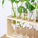 Ivolador Plant Propagation Station Terrariumin Wall Test Tube Vases Bud Tabletop Glass Wooden Stand with 5 Propagation Tubes for Propagating Hydroponic Plants Home Garden Wedding Decoration-Beige by GreenHaven Gardens