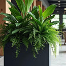 KOL Galvanized Steel Planter Box, with Insert Tray Drainage Holes, Rectangular Black Powder Coated Metal Planter, Outdoor Use, Heavy Duty Modern Flower Pot (Black, 36" H x 11" W x 32" L) by GreenHaven Gardens