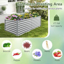 Giantex 6x3x2ft Raised Garden Bed, Large Metal Elevated Rectangular Planter Bed, 271 Gallon Capacity, Outdoor Planting Garden Box for Vegetable Flower Herb Grow (Grey) by GreenHaven Gardens