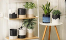 Nihow Self Watering Plant Pot: 6 Inch Ceramic Planter with Drainage Hole & Water Storage Plus for Indoor & Outdoor Plants - Cylinder Round Flower Pot for Succulent/Herbs/Violets - White & Brown by CozyNest Decor