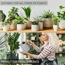 Watering Can Indoor Plants, 35oz Small Watering Can Indoor Stainless Steel Metal Watering Can Modern Decorative Watering Pot with Long Spout for Indoor House Plant Bonsai Garden Flowers (Gray) by GreenHaven Gardens