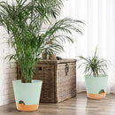GARDIFE 10/9/8 inch Plant pots, planters for Indoor Plants, self Watering Plant Pot, Flower pots, Green by GreenHaven Gardens