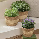 LA JOLIE MUSE Seagrass Planter Basket Indoor Outdoor, Flower Pots Cover, Plant Containers, Beige, 10 inch by GreenHaven Gardens