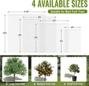 2 Pack Fruit Tree Netting Bags with Zipper and Drawstring, Ultra Fine Mesh Garden Netting Plant Cover, Bird Netting for Blueberry Bushes, Fruit Vegetable Trees, Flowers (White, 10 x 10 ft) by GreenHaven Gardens