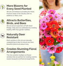 Eden Brothers Jellybean Flower Mixed Seeds for Planting, 1 lb, 480,000+ Seeds with Zinnia, Cornflower, Cosmos, Calendula | Attracts Pollinators, Plant in Spring or Fall, Zones 3, 4, 5, 6, 7, 8, 9, 10 by GreenHaven Gardens