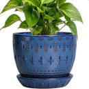 G EPGardening Plant Pot 5 Inch - Ceramic Planter for Indoor Plants Outdoor, Succulent Orchid Pot with Drainage Hole and Saucer, Round Flower Pot for Home Decor, Blue by GreenHaven Gardens