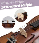 Vangoa Violin 4/4 Full Set Size, Fiddle Solid Spruce Wood Tiger Pattern for Professional Advanced Intermediate Beginners Adults Student Starter Acoustic Violins Kit Outfit Ebony Fittings, Hard Case by TinyTreasures Baby Boutique