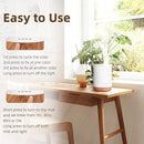 ASAKUKI Essential Oil Diffuser, Aromatherapy Cool Mist Home Humidifier with 7 LED Color Changing Light and Auto-Off Safety Switch, 8 Essential Oils Set, 300ml (Brown with Oils) by TinyTreasures Baby Boutique