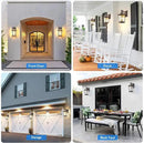 VIANIS Oil Rubbed Bronze Dusk to Dawn Motion Sensor Porch Light, Anti-Rust Aluminum Frame, Tempered Glass, 100% Weather Resistant, Easy Installation, Fits Standard E26 Bulbs by GreenHaven Gardens