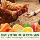 Doc Eddie’s Backyard Chicken Supplement - Plant-Based Treats for Egg Laying Hens - Poultry Feed Enrichment Made with Omega 3 Rich Algae - Essential for Immune Health, Feather Regrowth, Egg Production by GreenHaven Gardens