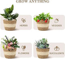 Athaliah Plant Basket, 3 PCS Plant Baskets Indoor with Plastic Liner, Water Hyacinth and Corn Stalk Woven Planters Flower Basket, Planter Basket for Rustic Home Floor Potted Pots Decor by CozyNest Decor