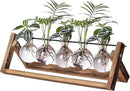 Kingbuy Plant Propagation Station with 5 Bulb Vases Retro Wooden Stand Desktop Glass Planter Terrarium for Hydroponics Plants Home Office Décor by GreenHaven Gardens