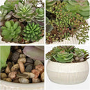 DILATATA Artificial Succulent Plants in Pot 5.5 Inch Fake Succulents Arrangement Potted Plant in White Ceramic Planter Bowl for Home Office Desk Shelf Living Room Bedroom Bathroom Decor by GreenHaven Gardens