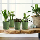 EFISPSS Ceramic Plant Pots, 5 Inch Planters with Drainage Holes and Ceramic Tray, Relief Design Flower Planter, Desktop Office Windowsill Decoration Gift Set of 4 - Blackish Green by GreenHaven Gardens