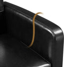 Yaheetech Mid-Century Accent Chairs, PU Leather Modern Upholstered Living Room Chair, Cozy Armchair Button Tufted Back and Wood Legs for Bedroom/Office/Cafe Black by CozyNest Decor