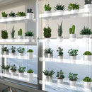 4-Tier Hanging Clear Plant Shelves for Windows, Acrylic Window Wall Plant Stand Shelf for Kitchen Indoor Gardens, Flower, Succulents, Herb, Seedling Organization, and Pots Display, 16 Inch per Tier by GreenHaven Gardens