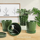 EFISPSS Ceramic Plant Pots, 5 Inch Planters with Drainage Holes and Ceramic Tray, Relief Design Flower Planter, Desktop Office Windowsill Decoration Gift Set of 4 - Blackish Green by GreenHaven Gardens