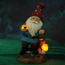Topadorn Garden Gnome Statue LED Light Solar Energy Gnome Figurine with Ladybug on Hand Mushroom for House, Lawn Decor 11 Inch by GreenHaven Gardens