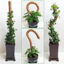 48 Inch Moss Pole, Bendable Moss Pole for Plants Monstera, Tall Moss Poles for Climbing Plants Indoor, Large Moss Pole Support, Garden Trellis Plant Stick Stakes for Potted Plants, Pothos by GreenHaven Gardens