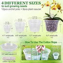 REMIAWY Orchid Pot, 12 Orchid Pots with Holes and 9 Saucers, 3 Each of 4.1, 4.8, 5.7 and 6.4 Inch Clear Flower Planter for Repotting, Plastic Breathable Plant Nursery Planters with Drainage by GreenHaven Gardens