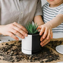 D'vine Dev 3.5 Inch Ceramic Planter Pot with Drainage Hole and Saucer, Indoor Cylinder Round Planter Pot, Split Monochrome Black & White, 94-O-A-0 by GreenHaven Gardens