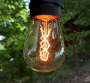 Hometown Evolution, Inc. E26 Outdoor Commercial String Lights with Suspended Socket for Weatherproof Heavy Duty Vintage Outside Lighting (S14 Zig Zag Edison 11 Watt Bulbs, 24 Foot 12 Socket) by CozyNest Decor