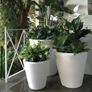 Crescent Garden Dot TruDrop Indoor/Outdoor Planter, Self-Watering Plant Pot, 20 Inches, (Caviar Black) by GreenHaven Gardens