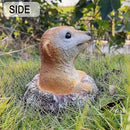 Meerkat Statue - Charming Meerkat Garden Animal Statue: Lifelike Decor Accent for Your Yard or Patio - Add Personality to Your Outdoor Space by CozyNest Decor