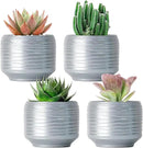 Mini Succulent Planter Set – 3.7 Inch Ceramic Pots with Drainage for Indoor Plants, Small Decorative Flower Pots for Cactus and House Plants, Set of 4 by CozyNest Decor