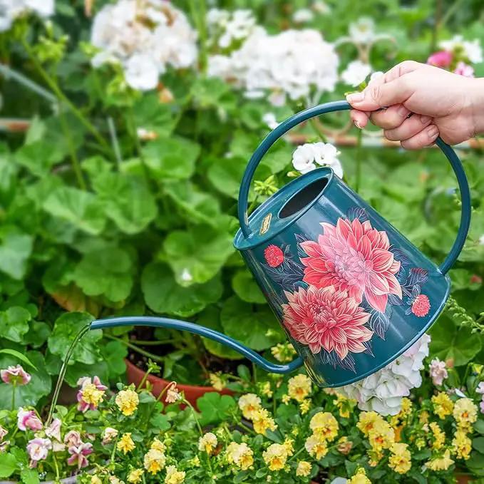Berry&Bird House Plants Watering Can - Indoor & Outdoor 1/2 Gallon Stainless Steel Water Can with Long Spout Garden Decoration for Flower Bonsai Succulent Gardening Large Watwer Bottle(2L/68oz,Dahlia), photo 6 of 7