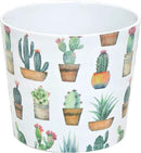 Costa Farms Live Indoor Echeveria Succulent Plant in Wood Design Ceramic Pot by GreenHaven Gardens