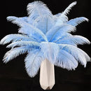 THARAHT Light Purple Ostrich Feathers 12pcs Natural Bulk 10-12Inch 25cm-30cm for Crafts Wedding Party Centerpieces Easter Gatsbi and Home Decoration Feathers by CozyNest Decor