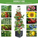 Raised Garden Bed Planter Box with Trellis, 58” Tomato Cage Planter Raised Garden Bed with Trellis for Climbing Vegetables Plants Tomato Cage w/Self-Watering, Indoor Outdoor Use (2) by GreenHaven Gardens