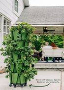 Greenstalk Patented Large 5 Tier Vertical Garden Planter with Patented Internal Watering System Great for Growing a Variety of Strawberries, Vegetables, Herbs, & Flowers (Evergreen) by CozyNest Decor