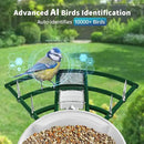 Smart Bird Feeder with Camera Solar Powered & AI Bi rd Identification, 2.4Ghz WiFi Bird feeders for Outdoors, 2K Live Video, Nstant Arrival Alerts - Best Gifts for Bi rd Lovers - Green by CozyNest Decor
