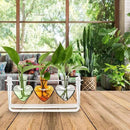 Plant Terrarium Propagation Stations with Acrylic Stand Birthday Gifts for Women Plant Stand Indoor Office Home Decor by GreenHaven Gardens
