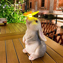 Solar Rabbit Statue Easter Bunny Decor Garden Statue for Outside, Rabbit with Butterfly Patio Sculptures Lawn Ornament, Funny Gifts for Women Mom Grandma Spring Outdoor Decor by GreenHaven Gardens