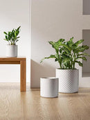 LE TAUCI Ceramic Plant Pots Indoor, 10+8+6 Inch Planters for Indoor Plants, Raised Dots Flower Pots with Drainage Hole and Plug, Cylinder Round Planters, Set of 3, Glaze Arctic White by GreenHaven Gardens