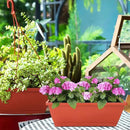 Window Box Planter, 7 Pack Plastic Vegetable Flower Planters Boxes 17 Inches Rectangular Flower Pots with Saucers for Indoor Outdoor Garden, Patio, Home Decor (Red) by GreenHaven Gardens