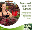 Twigs - Plant Support Stakes for Indoor, Outdoor & Climbing Plants, Gardening Supplies, Garden Accessories, Trellis & Ring Alternative, Made in USA - Begonia (Red), 10 Pack, 12" L, Mini Twigs by GreenHaven Gardens