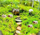 150 Pcs Mini Sheep Figurines Mini Resin Sheep Mini Garden Sheep for Dollhouse Bonsai Micro Landscape Fairy Home Garden Decor DIY Craft by GreenHaven Gardens